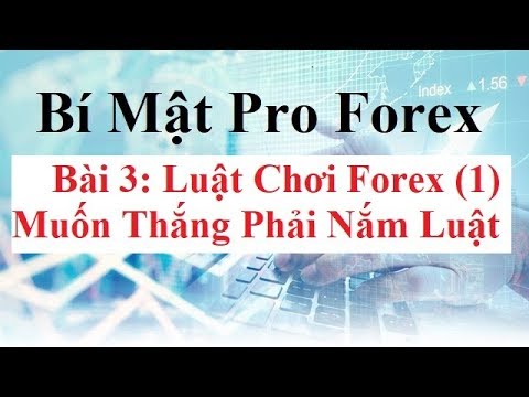 Bài 3: Luật chơi Forex – Lot là gì? Đòn bẩy Forex là gì? Pip là gì? Point là gì? những kiến thức cơ bạn trong trading forex