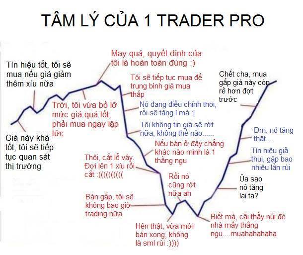 Bài 21: Tâm lý Trading , tâm lý đầu tư và Cách kết hợp các công cụ trong trading, cách kiểm soát tâm lý khi trade