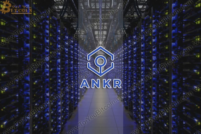 Ankr (ANKR) là gì? Tạo ví và Mua bán đồng tiền Ankr (ANKR) Coin ở đâu? Có nên đầu tư Ankr (ANKR) coin không?