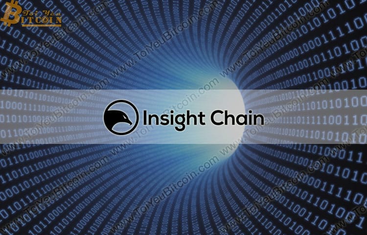 Insight Chain (INB) là gì? Tạo ví và Mua bán đồng tiền Insight Chain (INB) Coin ở đâu? Có nên đầu tư Insight Chain (INB) không?