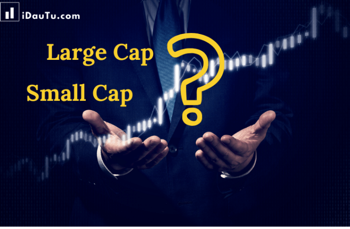 Sự khác nhau giữa cổ phiếu vốn hóa lớn và cổ phiếu vốn hóa nhỏ (Large Cap vs Small Cap)