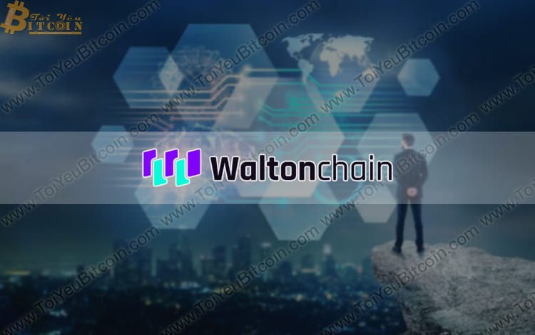 Waltonchain (WTC) là gì? Tạo ví và Mua bán đồng tiền Waltonchain (WTC) Coin ở đâu? Có nên đầu tư Waltonchain (WTC) không?
