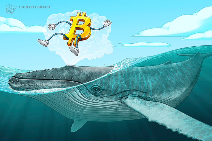 Các “cụm cá voi” tiết lộ 4 mức giá quan trọng cho Bitcoin trong ngắn hạn