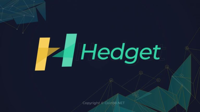 Hedget (HGET) là gì? Chi tiết về tiền điện tử HGET, HGET Token là gì? Có nên đầu tư vào HGET Token hay không?