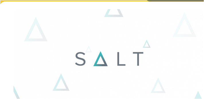 SALT là gì? Chi tiết về tiền điện tử SALT, SALT Token là gì? Có nên đầu tư SALT Token không?