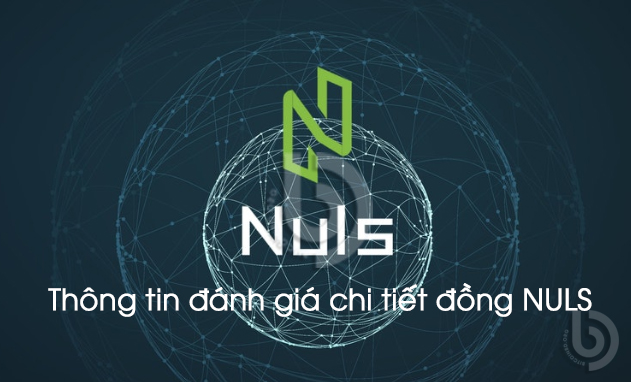 Nuls (NULS) là gì? Có nên đầu tư vào Nuls không ? Toàn tập về tiền điện tử Nuls (NULS)
