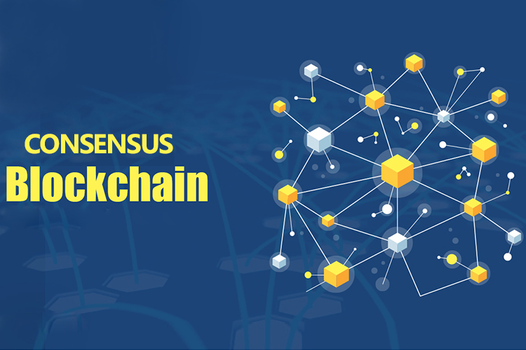 Cơ chế đồng thuận (consensus) là gì? Những thuật toán đồng thuận (Consensus) Blockchain nhất định bạn phải biết