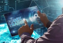 Nhà đầu tư mới nên chọn sàn forex như thế nào?